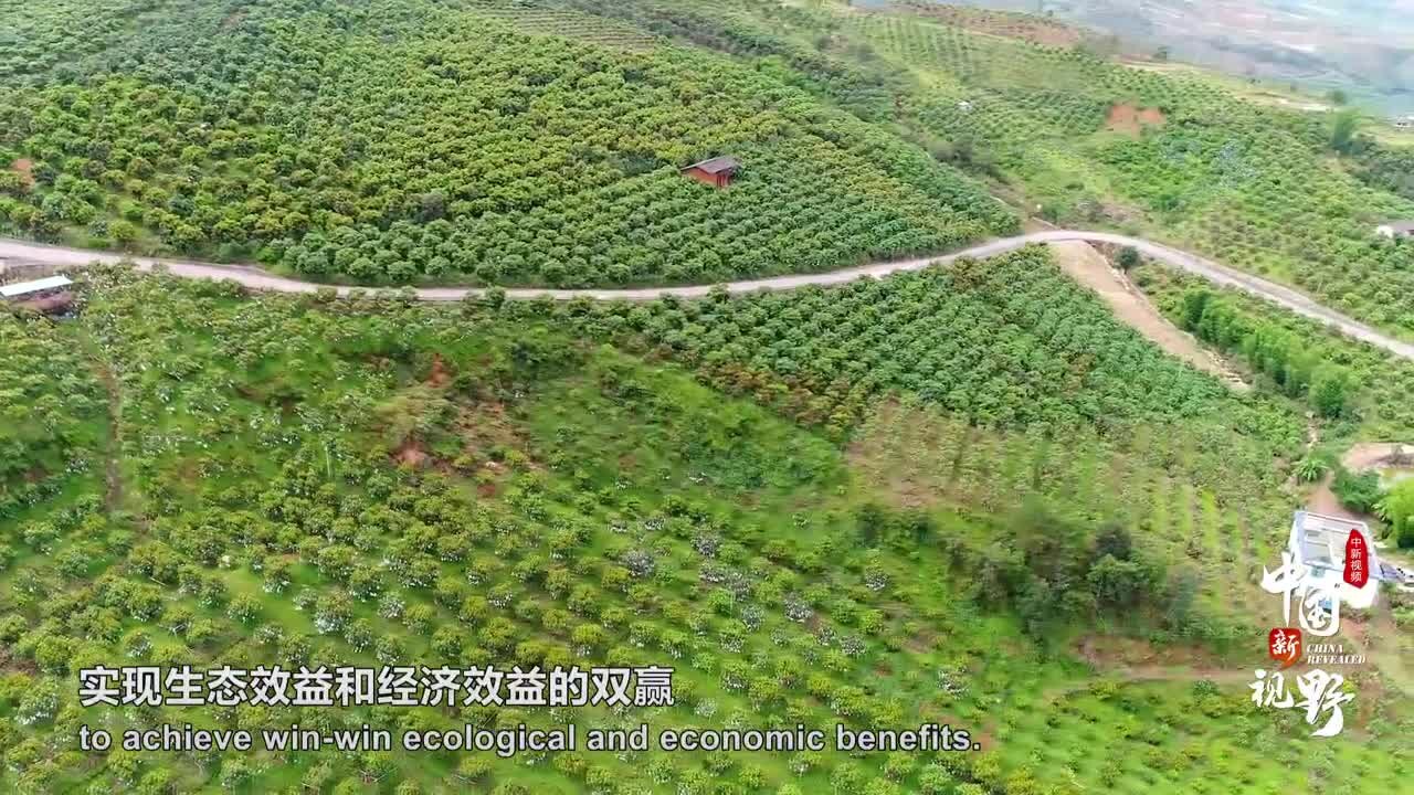 长江经济带：渔民上岸、矿山变绿