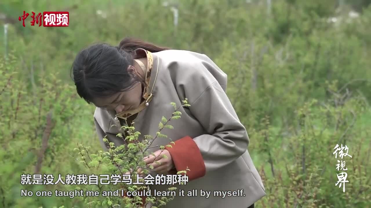 藏族牧区姑娘当上了飞行员